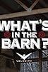 Primary photo for What's in the Barn? Primary photo for What's in the Barn?