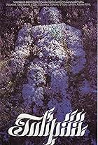 Yakkaxon porno veb-kamera