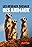 Animal social networks
