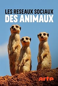 Primary photo for Question de personnalité