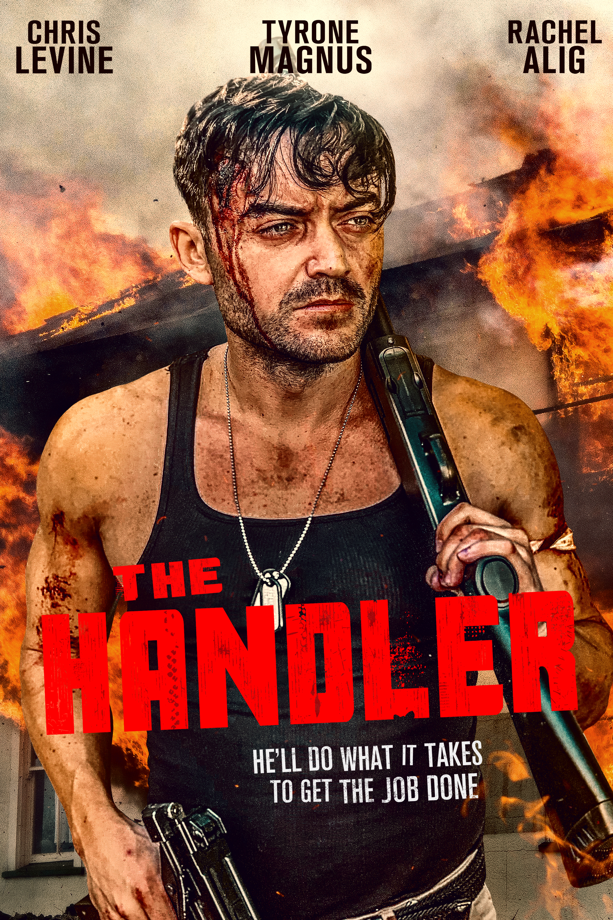 Poster of The Handler