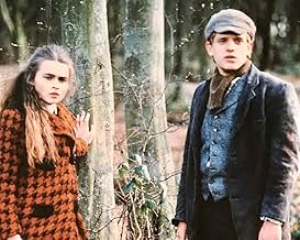 पोस्टर देखें