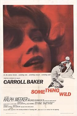 Poster of Something Wild