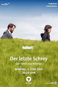 Primary photo for Der letzte Schrey Primary photo for Der letzte Schrey