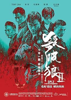 Poster of Kill Zone 2