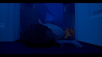 पोस्टर देखें