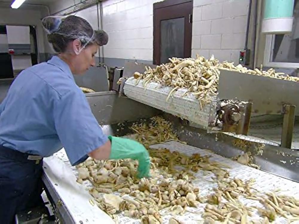 "How It's Made" Airstream Trailers/Horseradish/Industrial Steam Boilers