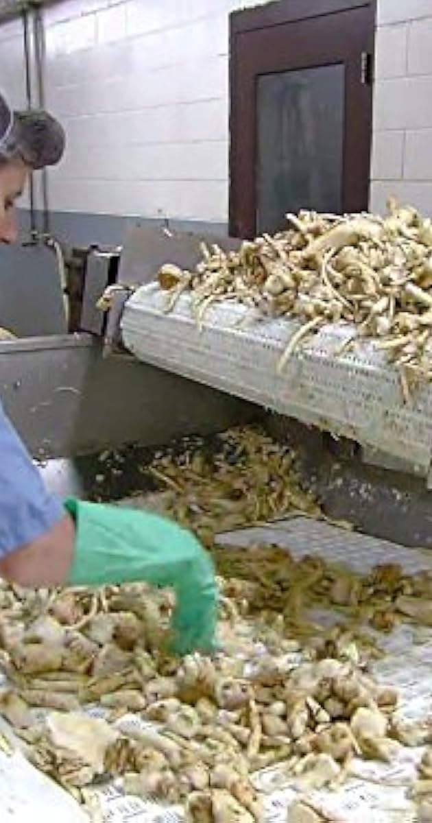 How It's Made Airstream Trailers/Horseradish/Industrial Steam Boilers