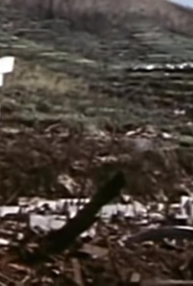 Primary photo for Nagasaki: The Forgotten Bomb Primary photo for Nagasaki: The Forgotten Bomb