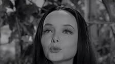 The Addams Family - Season 1 - IMDb