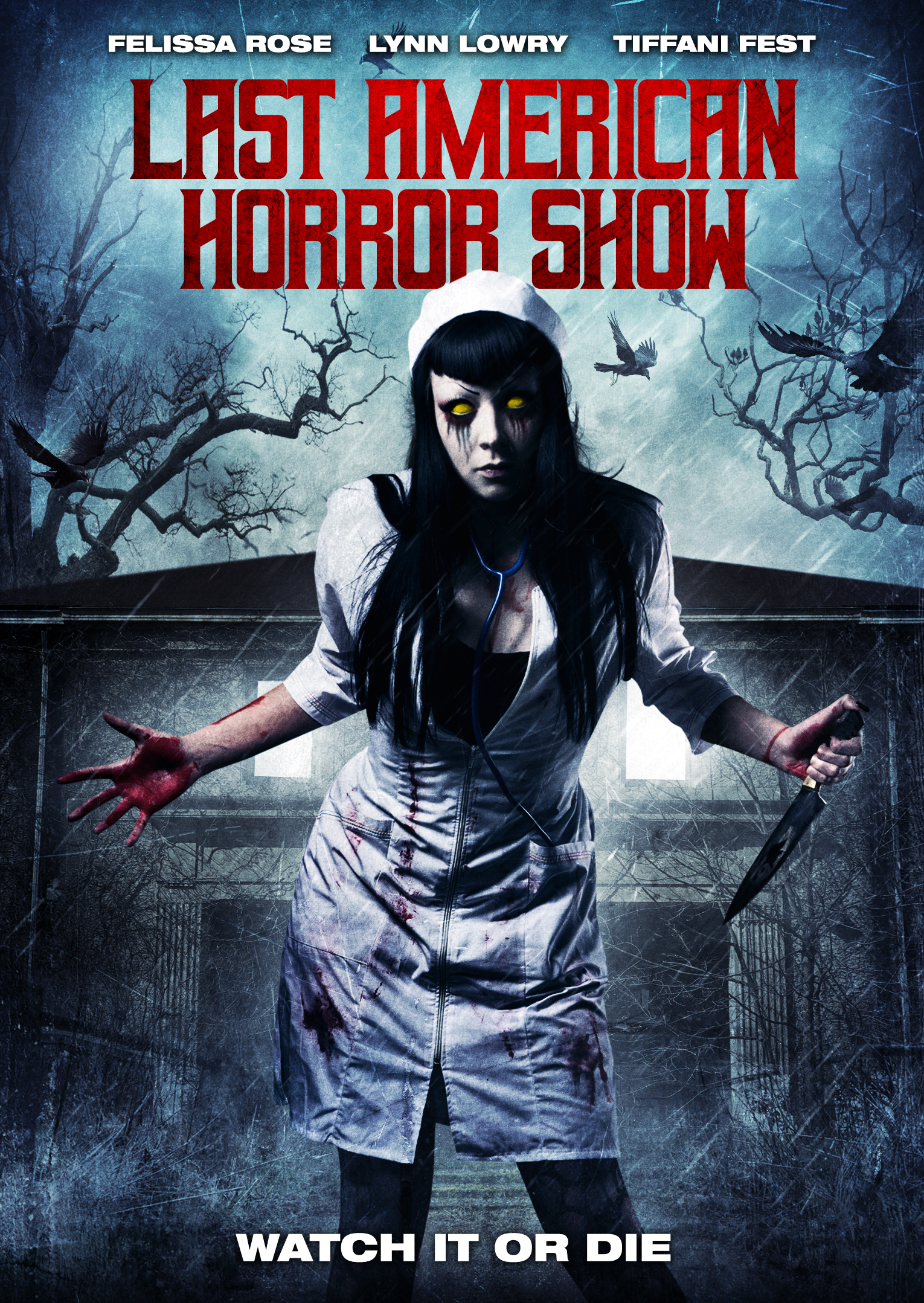 Poster of Last American Horror Show