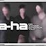 Primary photo for A-ha: Did Anyone Approach You? Primary photo for A-ha: Did Anyone Approach You?
