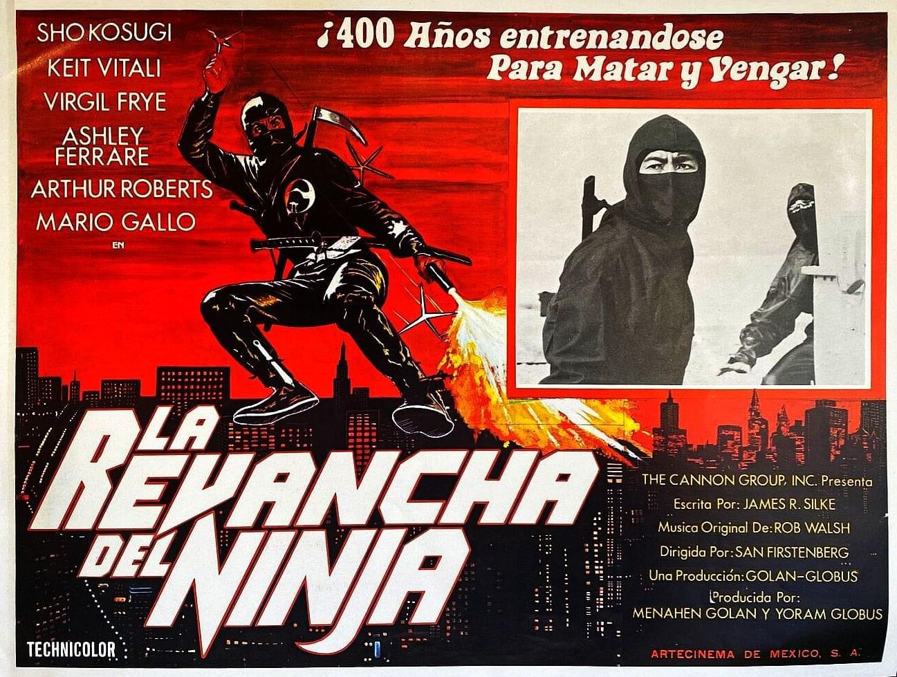 Revenge of the Ninja (1983)