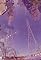 Eternity on a Loop's primary photo