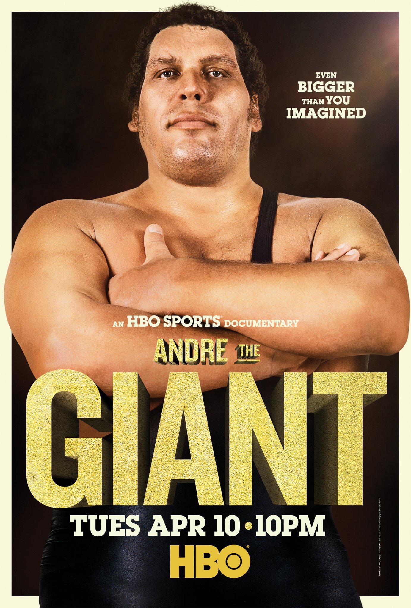 Poster of Andre the Giant