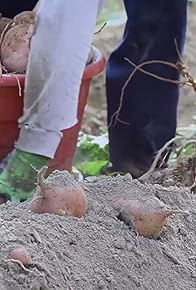 Primary photo for Sweetpotato Is One Word, Part 1