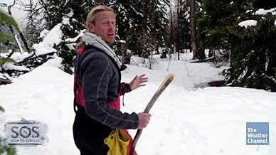 पोस्टर देखें