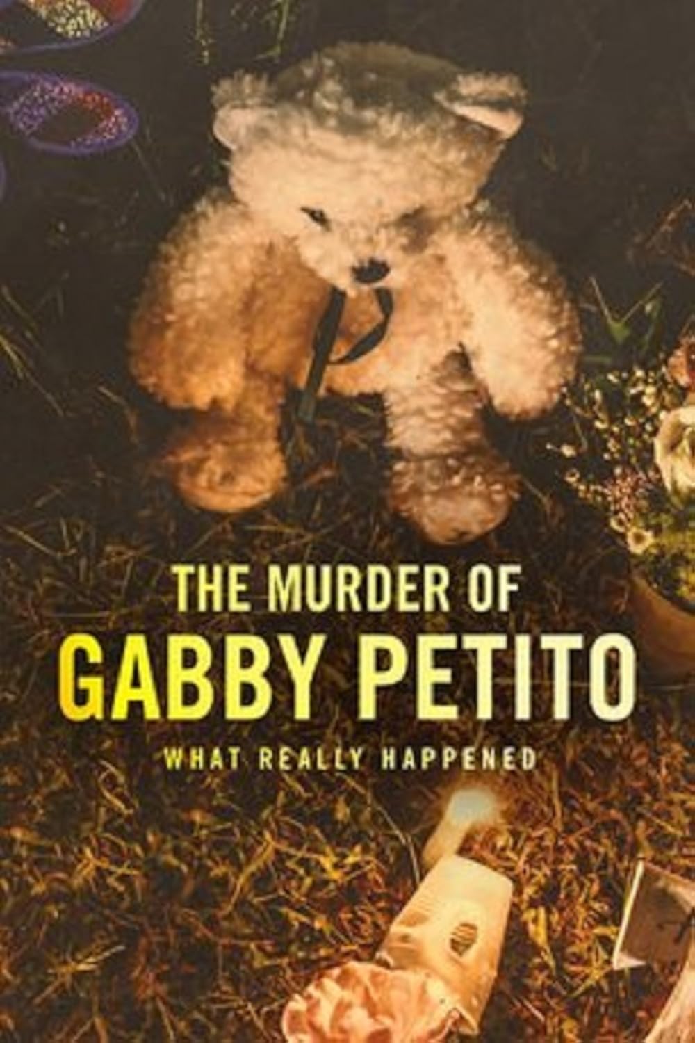 The Murder of Gabby Petito  What Really Happened