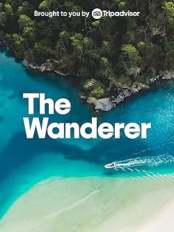 Poster of The Wanderer