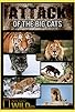 Primary photo for Attack of the Big Cats Primary photo for Attack of the Big Cats