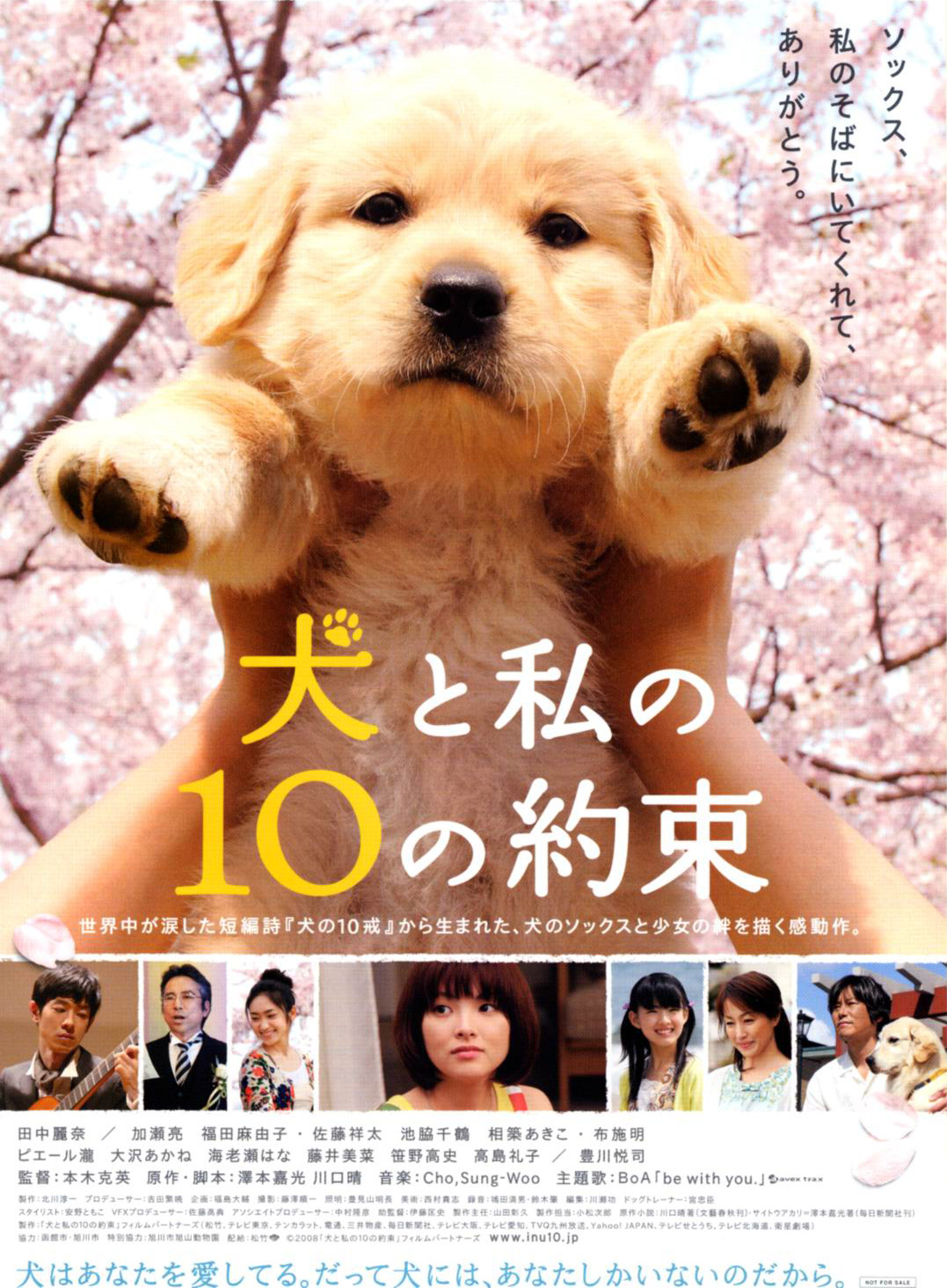10 Promises to My Dog (2008) - IMDb