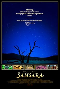 Poster of Samsara