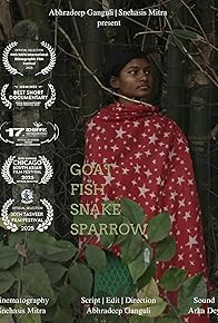 Primary photo for Goat Fish Snake Sparrow