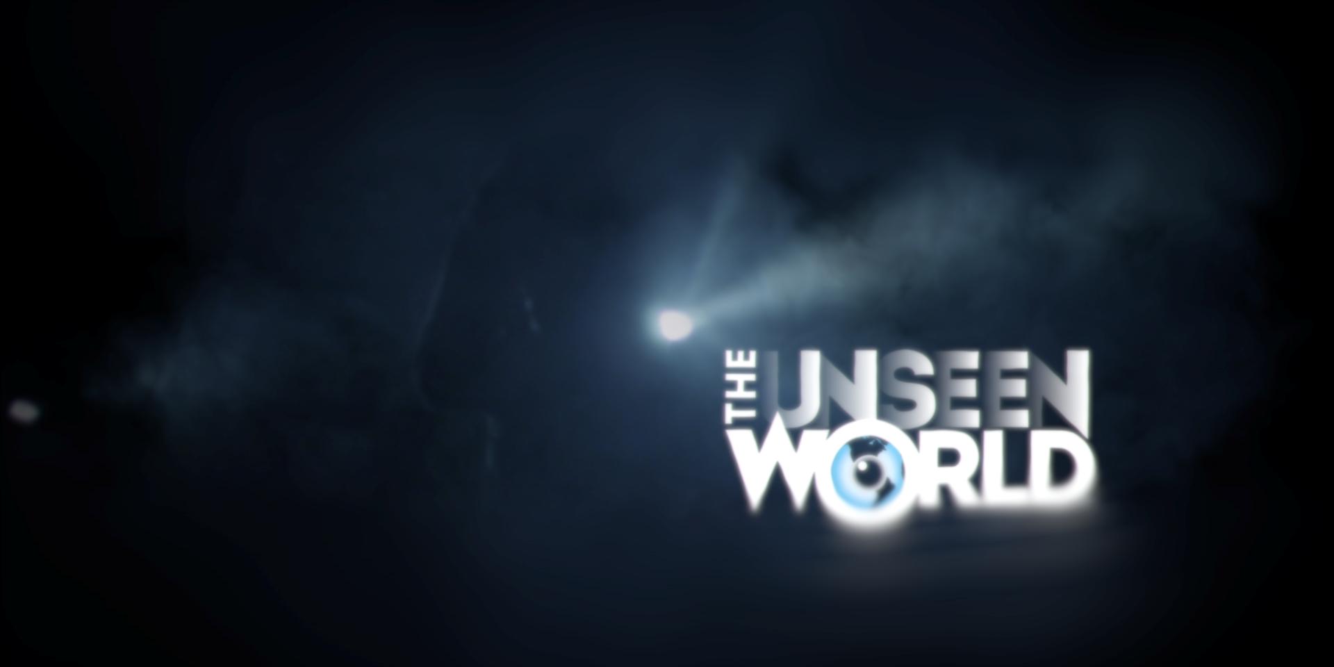 邦楽 Unseen World 邦楽 Unseen World Unseen World ポップス/ロック(邦楽)