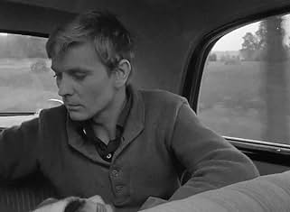 Zygmunt Malanowicz in Knife in the Water (1962)