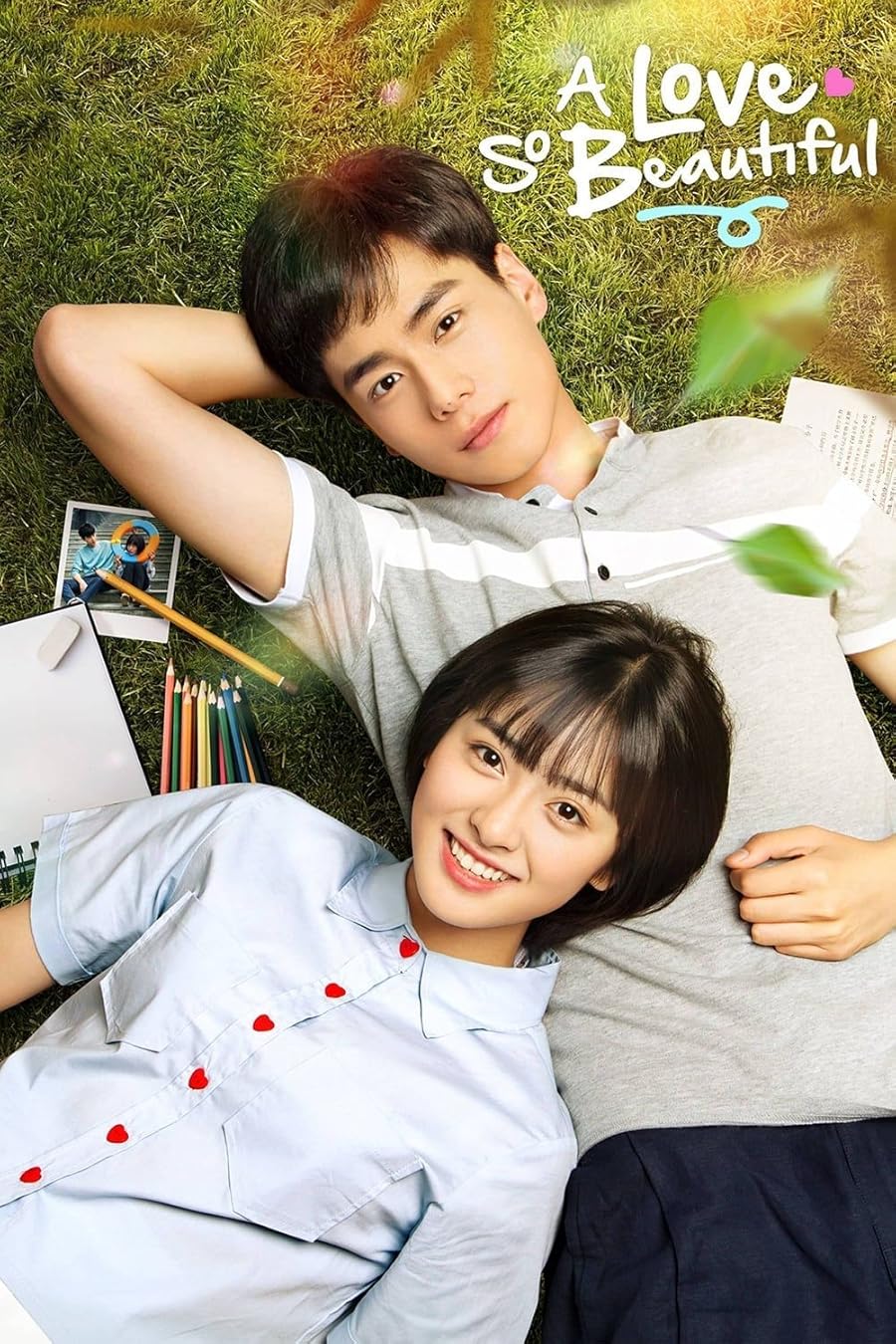 A Love So Beautiful Poster