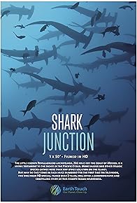 Primary photo for Shark Junction