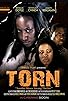 Primary photo for Torn