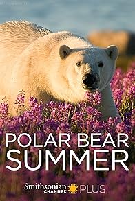 Primary photo for Polar Bear Summer