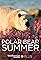 Polar Bear Summer's primary photo