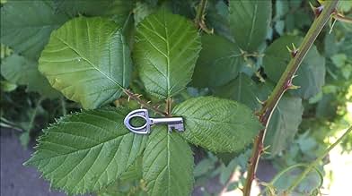 पोस्टर देखें