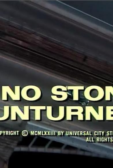 Primary photo for No Stone Unturned Primary photo for No Stone Unturned