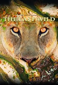 Primary photo for The Last Wild
