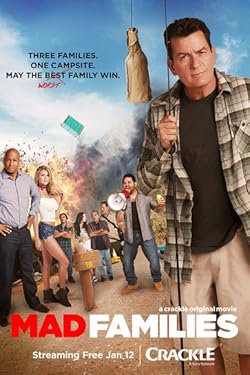Poster of Mad Families