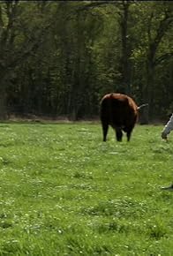 Primary photo for Dimanche à la ferme, 2ème partie