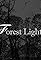 Forest Light's primary photo