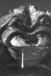 Primary photo for The Black Scorpion