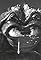 The Black Scorpion's primary photo