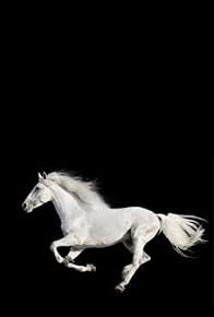 Primary photo for Pale Horse