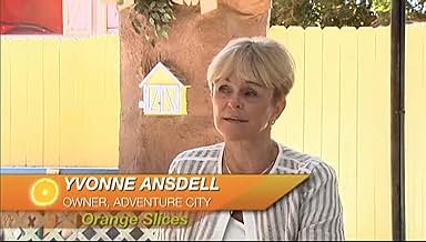 पोस्टर देखें