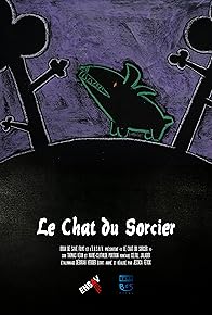 Primary photo for Le Chat du Sorcier