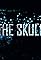The Skull's primary photo