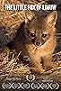 Primary photo for The Little Fox of Limuw Primary photo for The Little Fox of Limuw