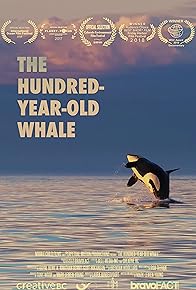 Primary photo for The Hundred Year Old Whale