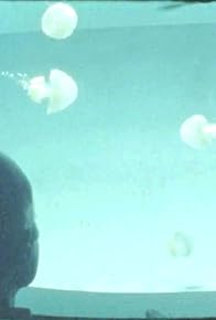 Primary photo for Lost Explorer