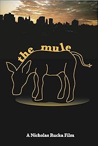 Primary photo for The Mule